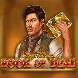 Official Slots logo: Book of Dead by Play'n GO at WildHub Casino